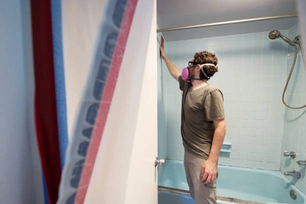 Professional Mold Removal in Royal Hawaiian Estates, HI